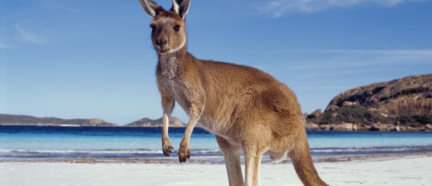 Australie Tour du Monde Connaisseurs du voyage