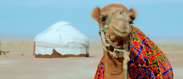 Ouzbekistan Desert, connaisseurs du voyage